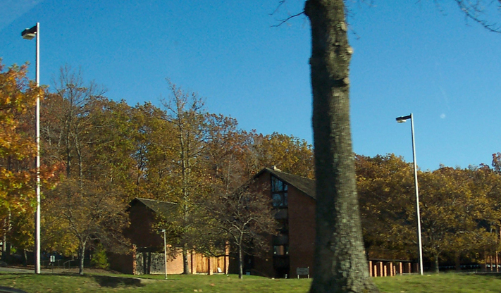Treasure Lake Seasonal Landscape Scene