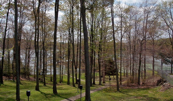 Treasure Lake Seasonal Landscape Scene
